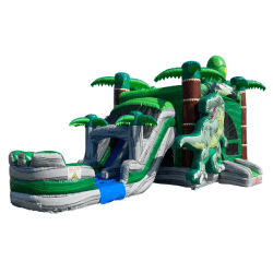 T-Rex Dinosaur Bounce/Slide Wet/Dry Combo