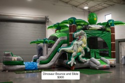 DSC 1241 1747602772 T-Rex Dinosaur Bounce and Slide