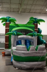 DSC 1245 1747602810 T-Rex Dinosaur Bounce and Slide